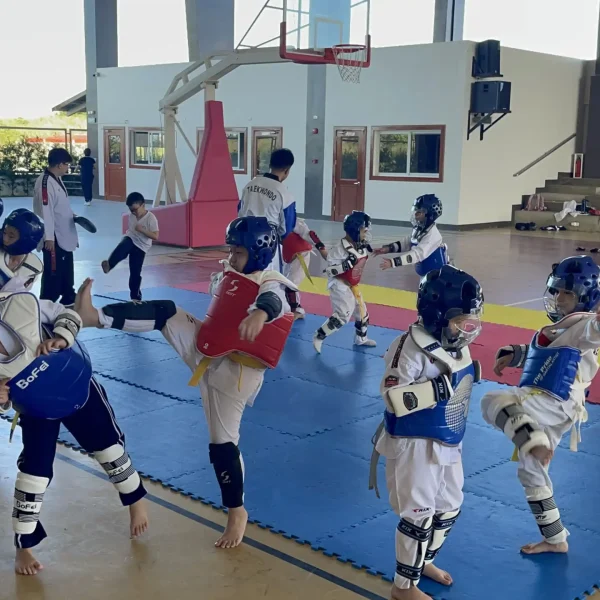 3 Taekwondo